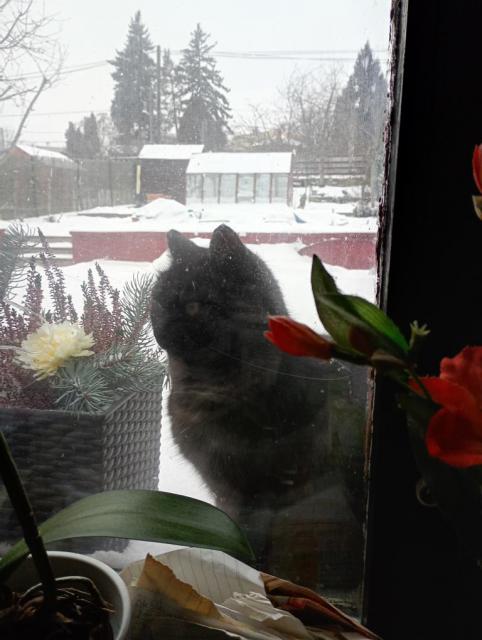 Pus�te m� dovnit�.-)