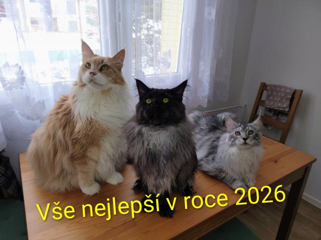V�e nej v roce 2026 p�ej� Jumb�k, Neville, Bady a jejich dvounoh�