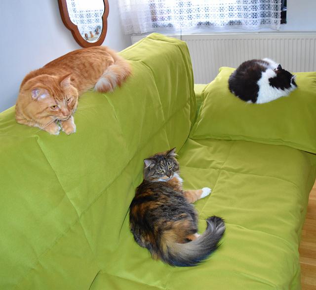 Taky v�m p�ejeme kr�sn� rok 2026.