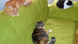 P�ejeme v�m kr�sn� rok 2026.