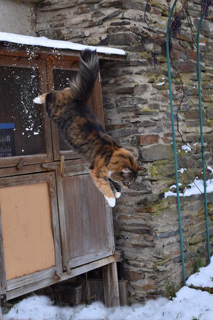 Jenda sn�hem jen proch�z�, j� do n�j r�da sk��u.