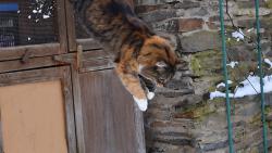 Jenda sněhem jen prochází, já do něj ráda skáču.