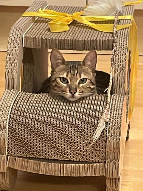 Zku�en� �idi�ka 🚐