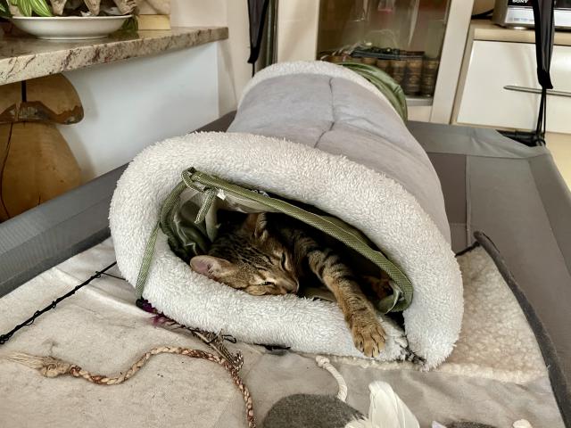 Venku mrzne a je tam spousta sn�hu ❄❄❄, tak je mi nejl�p tady😊