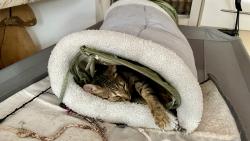 Venku mrzne a je tam spousta sněhu ❄❄❄, tak je mi nejlíp tady😊