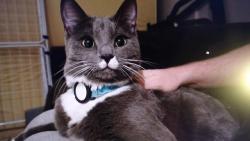 M�me nov�ho kamar�da. Ale bydl� moc daleko, tak se vid�me jenom p�es WhatsApp.