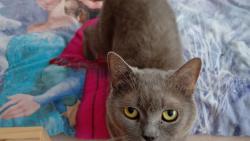 Elvi�e nic neve�te! Je to vlezdoprdelka! Uspavam sebe ka�d� den a sama 😆