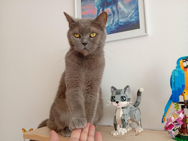 Tlapku na to! Nem�m konkurenci