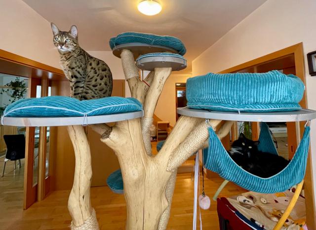 Copak jste dnes d�lali? My jsme cel� den leno�ili 🙂