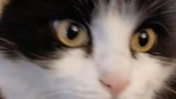 Na balkon nejdu, a ropuchy s t�m, �e m� dnes r�no p�estat sn�it, p�kn� kecaly proto�e r�no je ve 4.00 jak v�me my s Miouchou a ne v 10.00 jak se n�m sna�� namluvit ty.