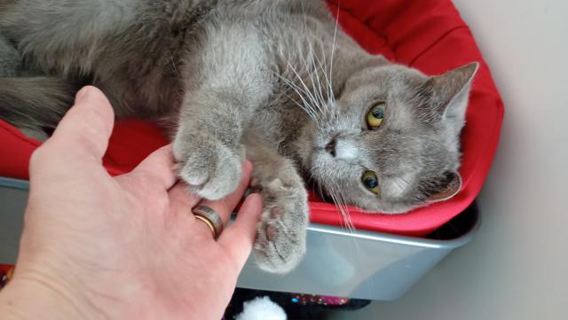 M��e� si vybrat. Za A) hrab�ky
                                    B) zakousnu palec