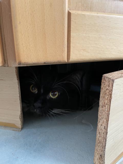 Pod linku lezu moc r�d 😌