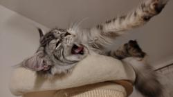 Co m� bud�, j� chci sp�t!