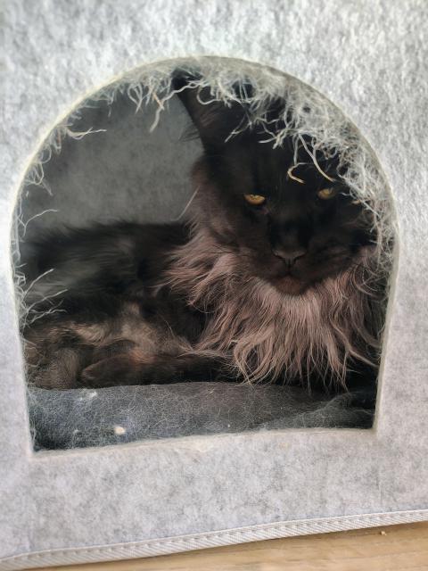 To je m�j bejv�k!