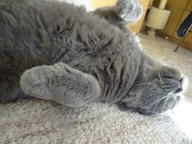 Prosil bych n�n� podrbat pod bradi�kou . A na b��ku m��e� taky.:.))))