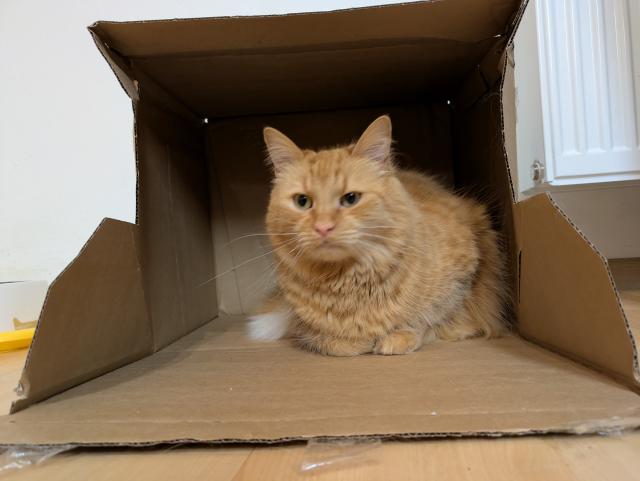 Pani�ce p�i�el bal�k, tak n�m dala krabici