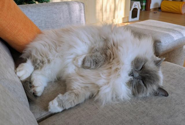 V�len��ko, v�len�