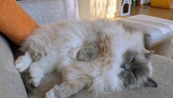 Váleníčko, válení