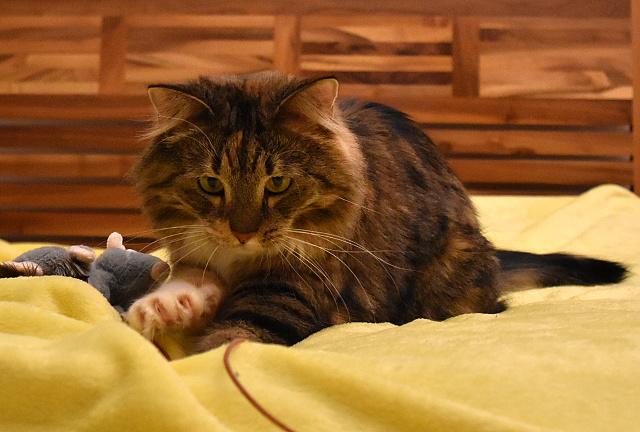 Renata tam byla skoro po��d se mnou, tak jsem nestr�dala. Pak to stejn� chyt i Jenda, ale s daleko lep��m pr�b�hem, na�t�st�.