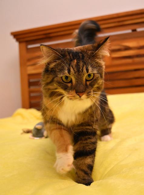 M�la jsem stra�n� pr�jem a jeden den se mi ani necht�lo papat. To je moje fotka z karant�ny.