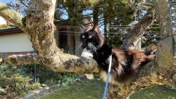 To je pohoda, kdy� je kone�n� tak kr�sn� ☀☀☀