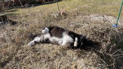 Prachov� l�ze�, to je n�co 😊