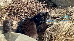 Byl tam �mel�k 🐝, ale ulet�l mi�