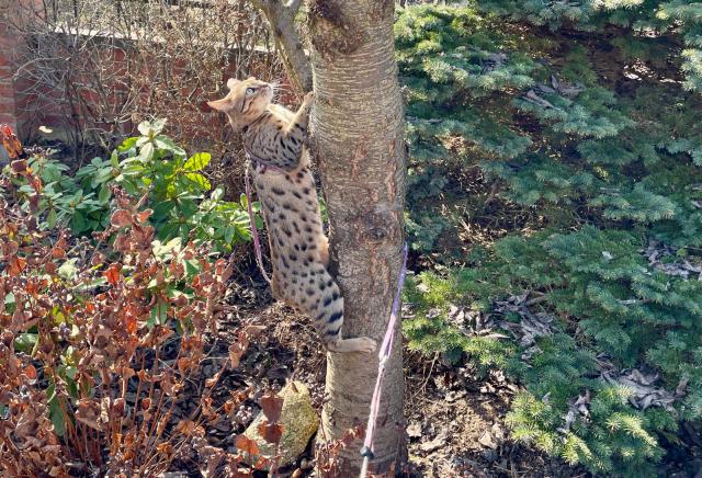 Mus�m se soust�edit, abych neslet�la 😜