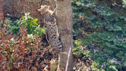 Mus�m se soust�edit, abych neslet�la 😜