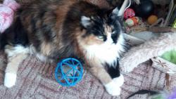 Kone�n� klid, u� sundali le�en� a ode�li kravalisti i bouchalisti