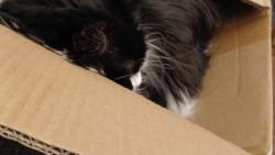 1/ Tady nikdo nen�...