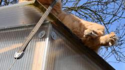 1/3 Tak si tady le��m a najednou...