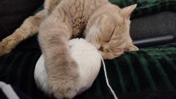 To je d�ina a� jsem si zd��mla😅