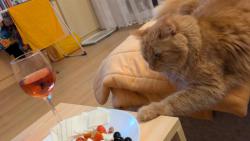 Kdy� mi ned�te, tak si vezmu s�m!