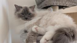 M�me nov� ko�kostrom, co n�m lad� k srsti 🙂