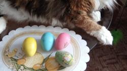 Kr�sn� Velikonoce!