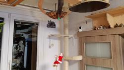 Po del�� dob� v�s v�echny zdrav� Ton�k