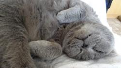 Odpo��v�m v k�esle, venku je n�dhern�, pt��i zp�vaj� a j� chr�pu, jenom se v�echno t�ese.