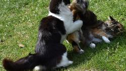 Zuz�, jen si �uchnu, neboj :-)