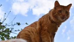 Co tam ty holky zase vyv�d�j?