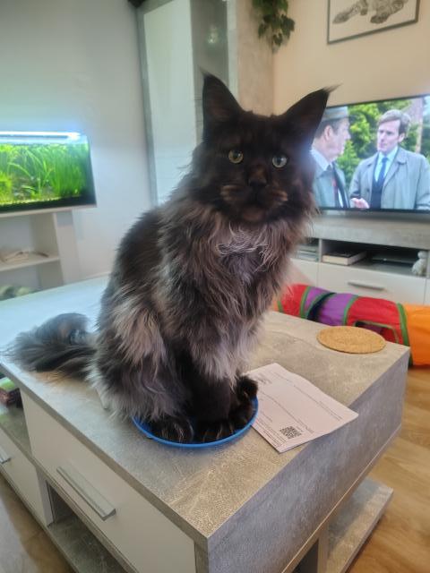 �e pr� jsem k se�r�n�, tak jsem se rovnou naserv�roval 😁