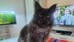 �e pr� jsem k se�r�n�, tak jsem se rovnou naserv�roval 😁