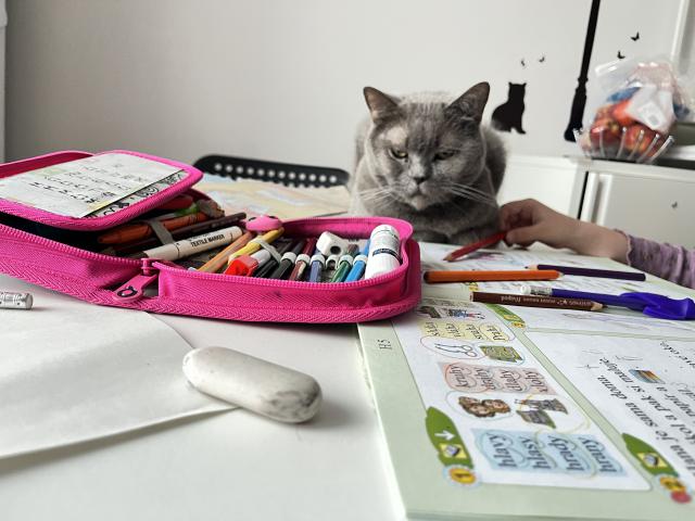 Dozor mus� byt😂