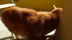 A na kr�ku se taky podrbu.