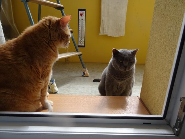 Nefo� m�,  je�t� jsem se neupravil.