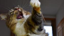 2/4 Za�ala jsem zlehka boxem.