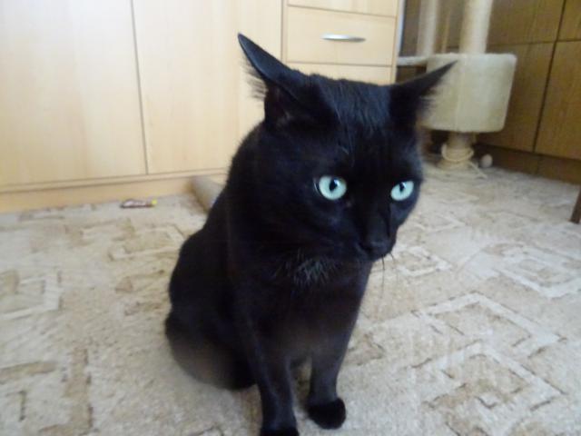 M�lem mi vylezly o�i jak �nekovi.