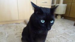 M�lem mi vylezly o�i jak �nekovi.