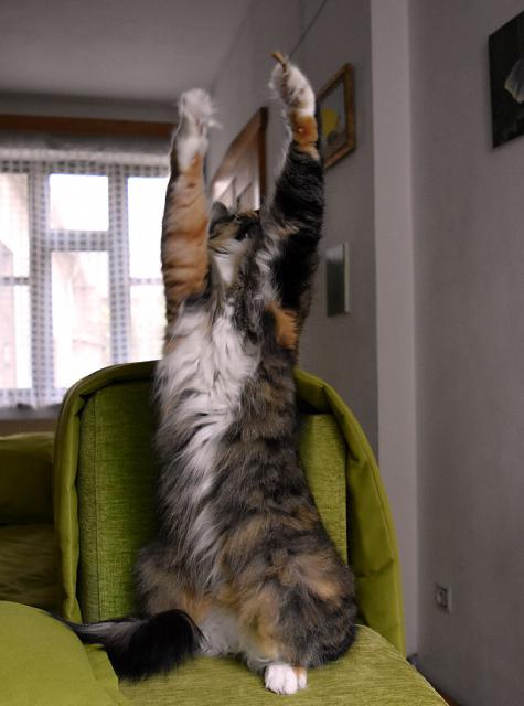 1/2 Jan blbne s Kry�p�nou, tak se mnou si mus� hr�t Renata.