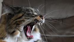 Jane, se po��dn� pod�vej na ty moje a rad�i p�esta� m�oukat nesmysly.